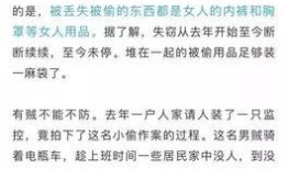 爆料变态偷东西视频大全