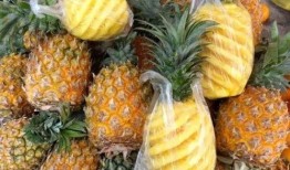 菠萝最新爆料视频